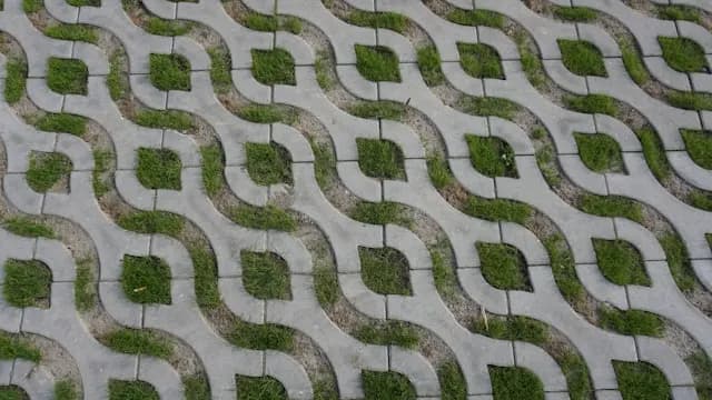 Close-up of interlocking grass paver blocks with grass growing through the openings