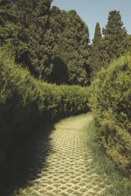 Grass paver pathway through a hedge-lined garden
