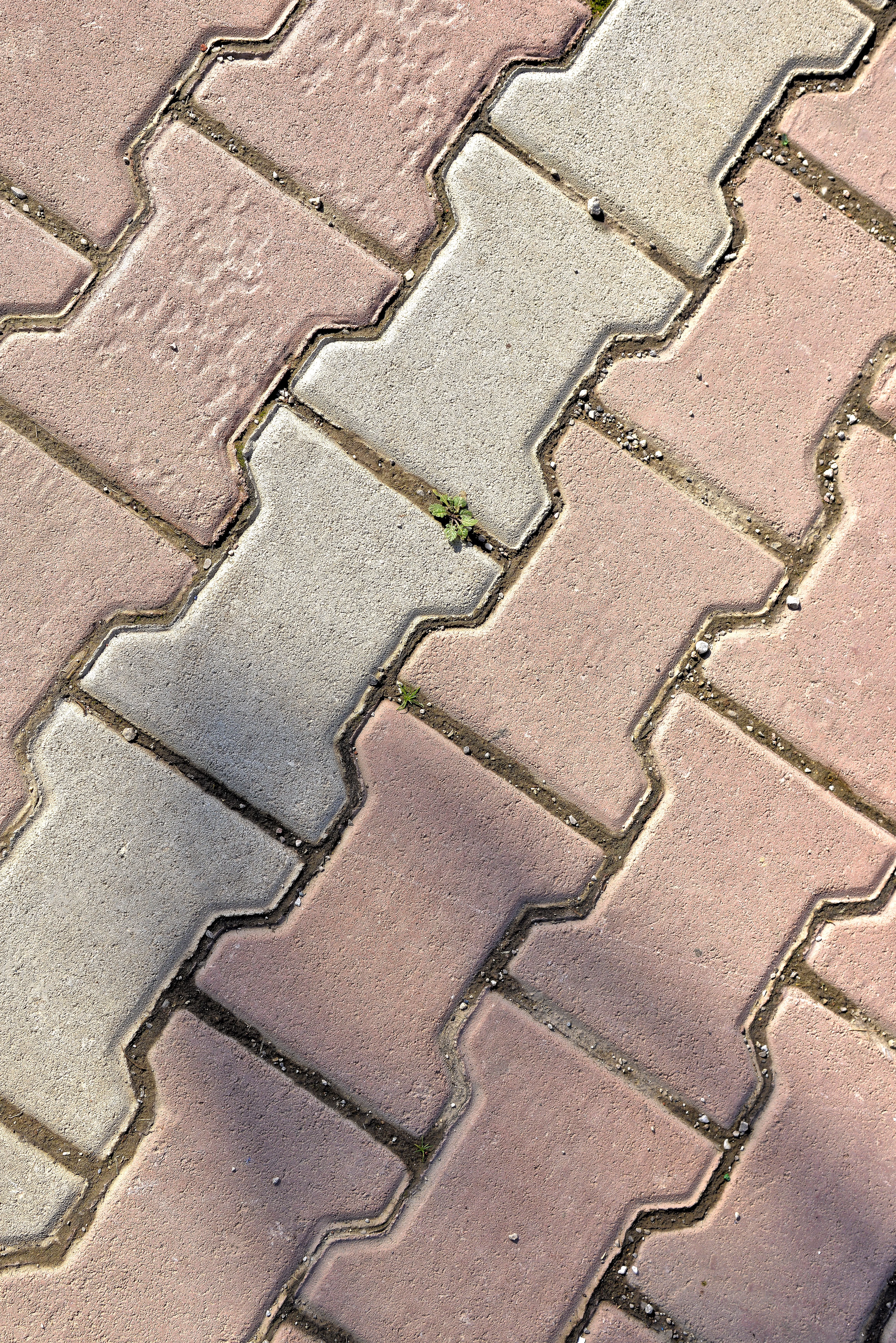 Close-up of interlocking paver joint pattern and texture