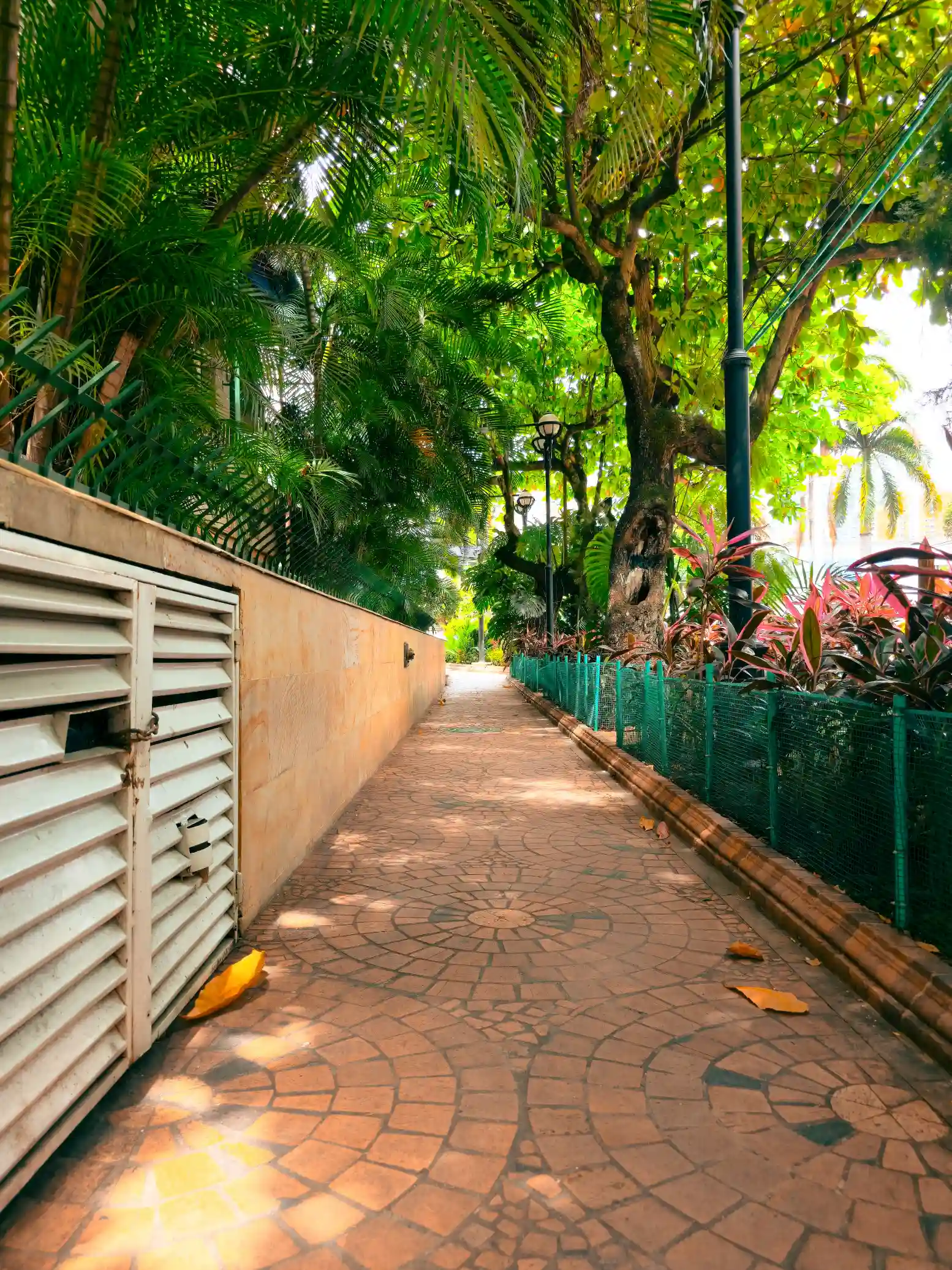 Garden Pathway