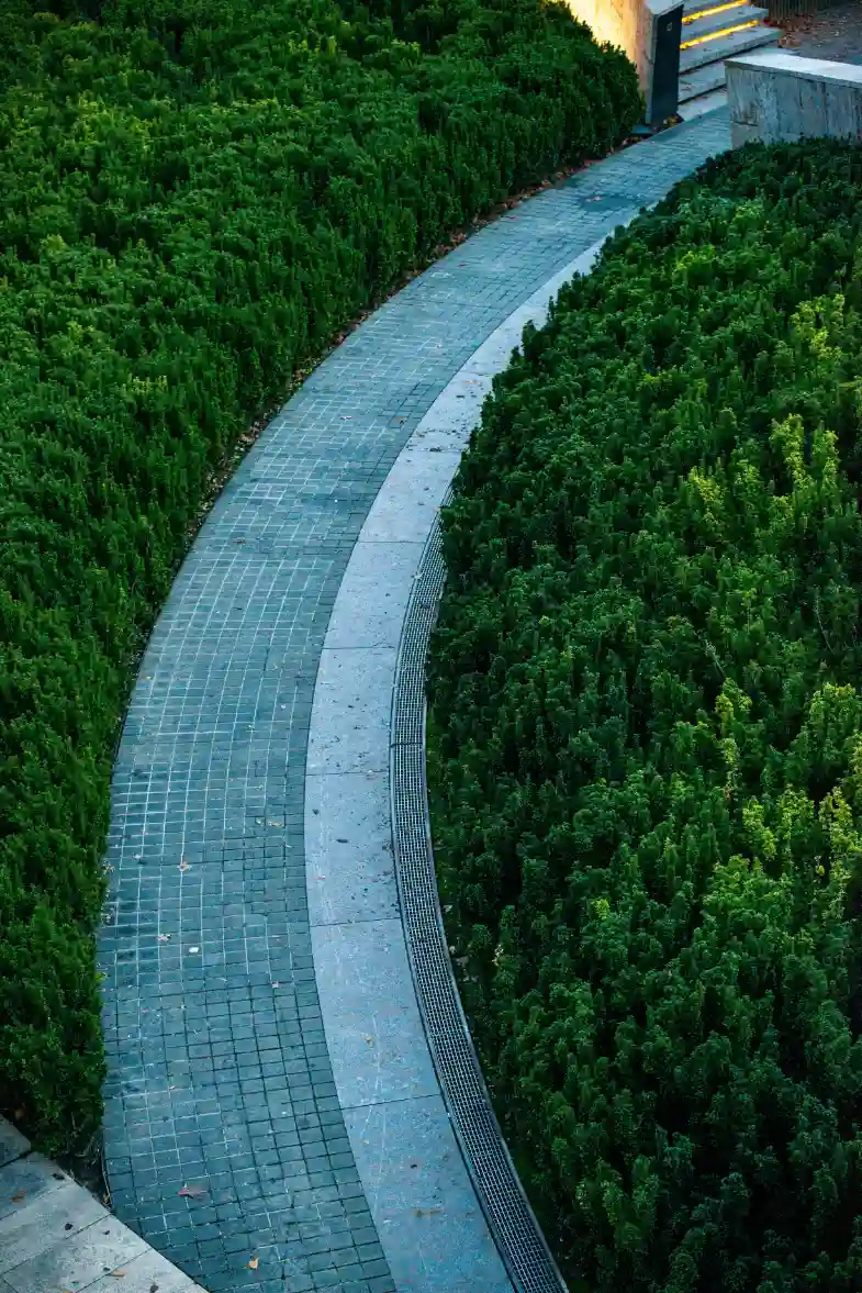 Curved Garden Path