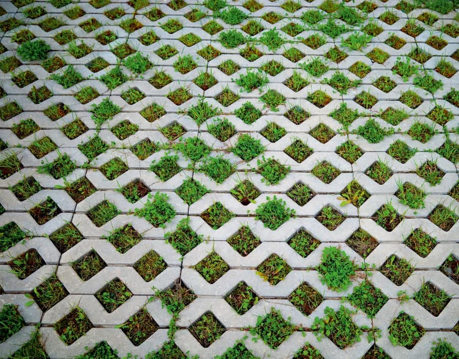 Grass Paver Blocks